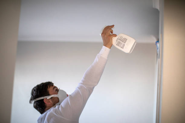 Best Emergency Mold Removal  in Horizon City, TX