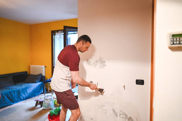 Best Water Damage Restoration  in Horizon City, TX