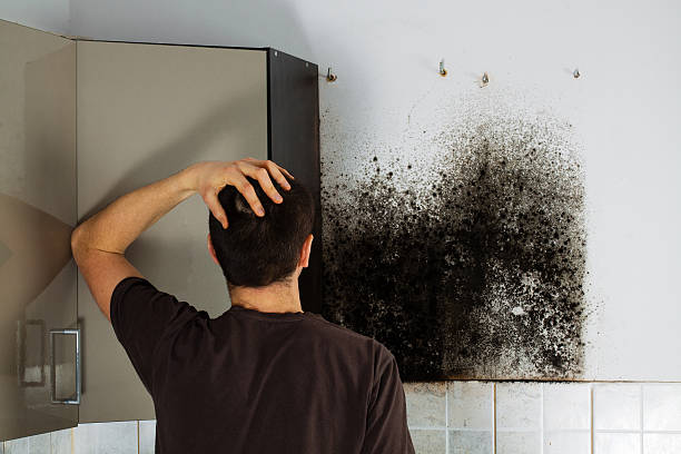 Best Mold Cleaning Services  in Horizon City, TX